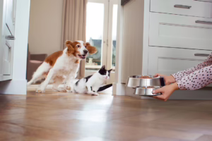 GWN_0560-11_1140x760px